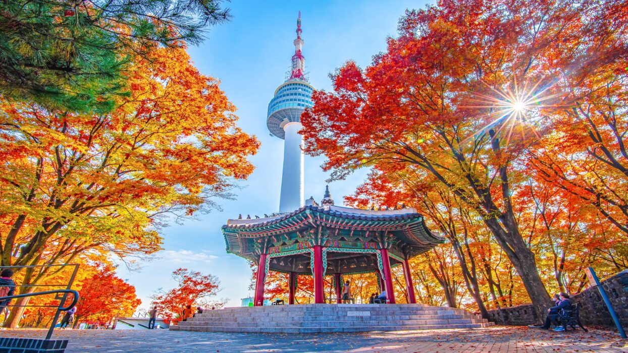 Discover Seoul,  A Guide to South Korea’s Vibrant Capital