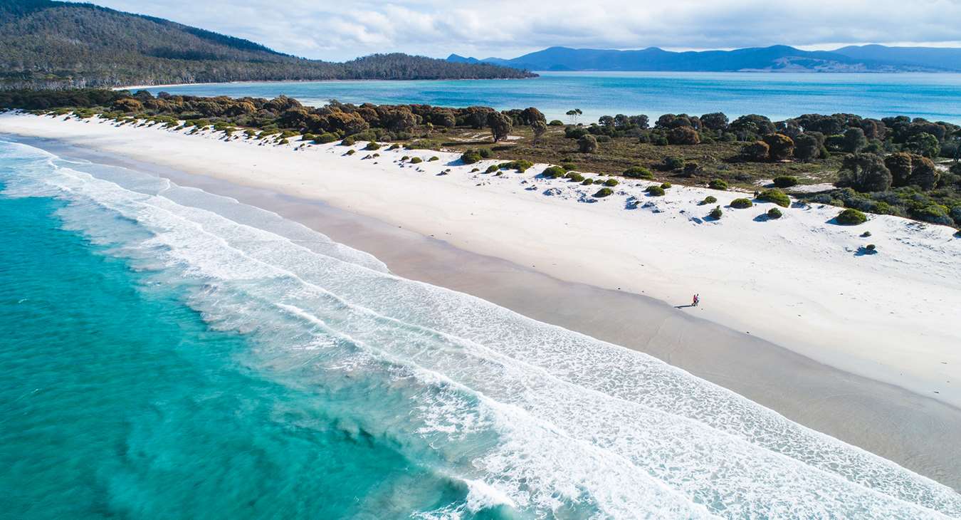 Travel Tips for Exploring Tasmania, A Guide to Australia’s Island Paradise