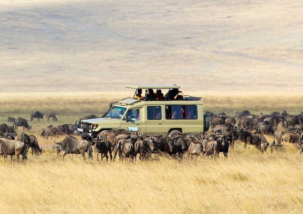 Adventure Travel in Serengeti National Park, Tanzania