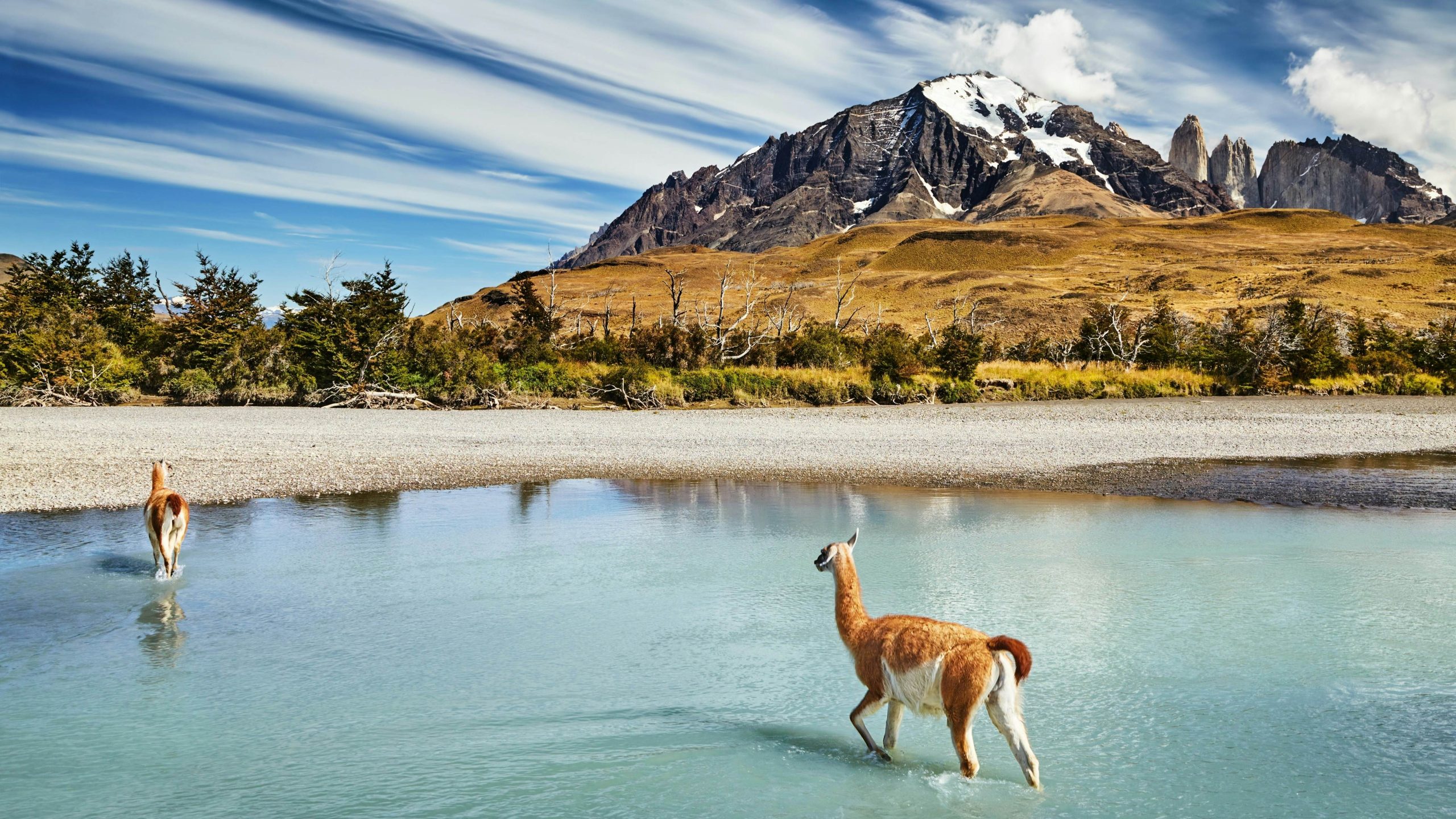 Exploring Patagonia, A Rugged Adventure in Argentina and Chile