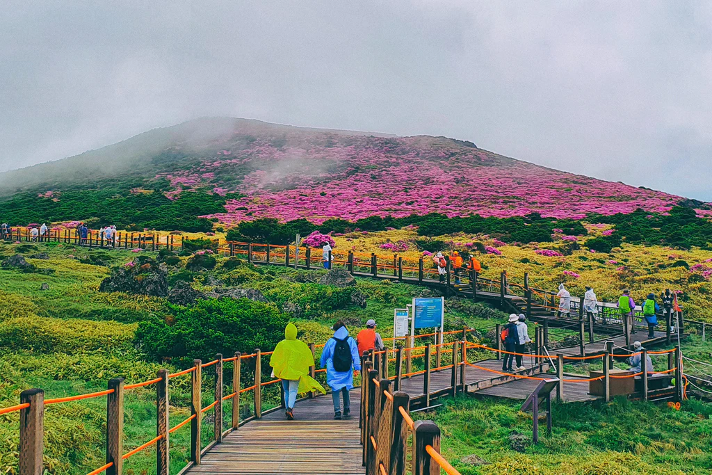 Exploring Jeju Island, The Ultimate Adventure Travel Guide