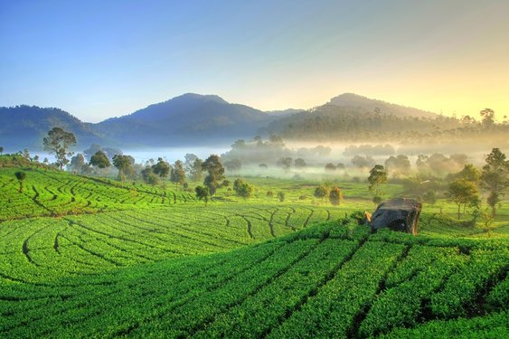 Adventure Travel to Bandung, Exploring Indonesia’s Paris of Java